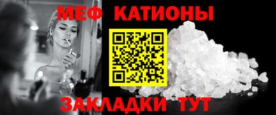 мдпв Камышлов