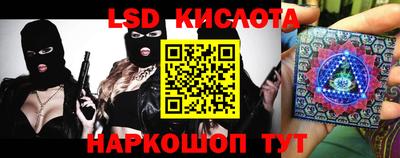 ГАЛЛЮЦИНОГЕННЫЕ ГРИБЫ Кандалакша
