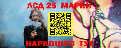 мдпв Камышлов