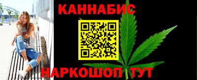 мдпв Камышлов