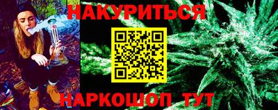 мдпв Камышлов